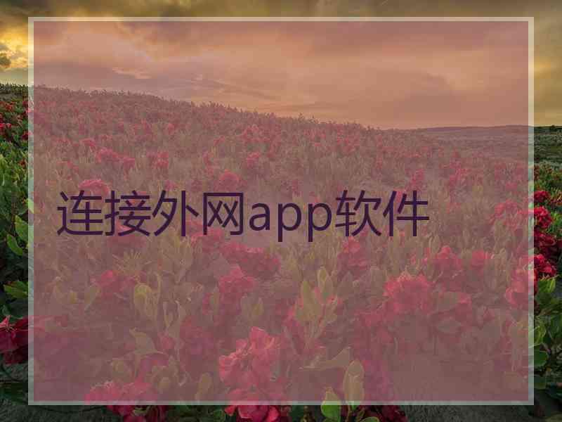 连接外网app软件