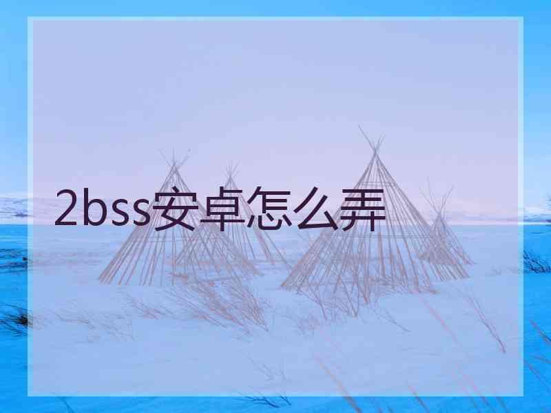 2bss安卓怎么弄